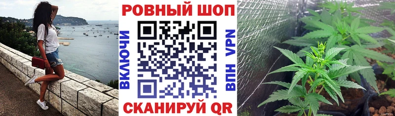 ГАШИШ Болохово