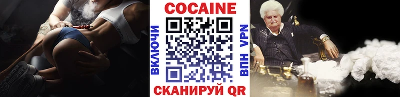 Cocaine Fish Scale  Купить закладки  Болохово 