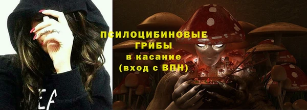 гидропоника Чердынь