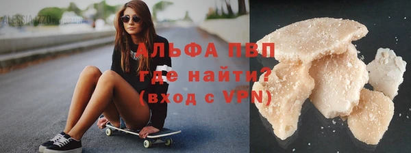 эйфоретик Чекалин