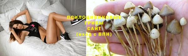 эйфоретик Чекалин