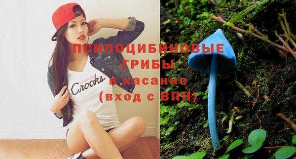 MESCALINE Чегем