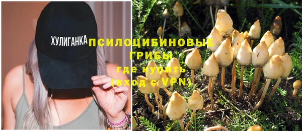 эйфоретик Чекалин
