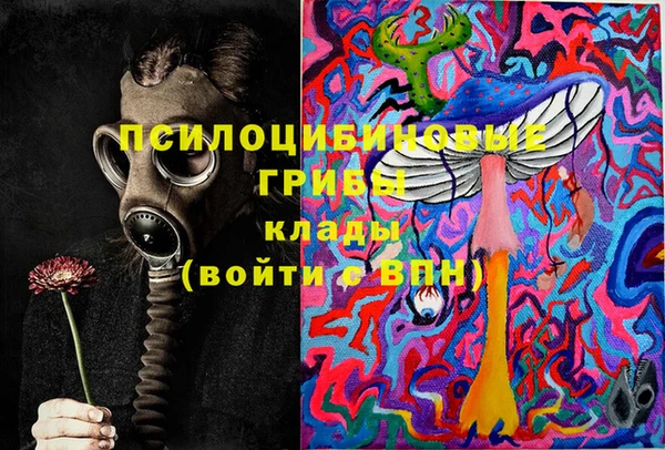 гидропоника Чердынь