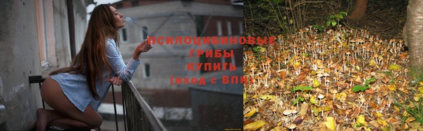 эйфоретик Чекалин
